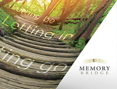 Memory Bridge Graphics