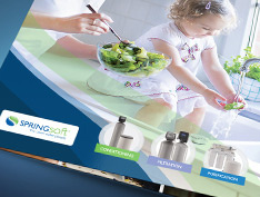 Springsoft Brochure