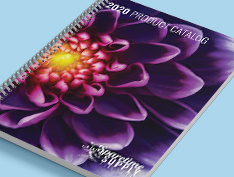 Sparetime Supply Catalog 2020
