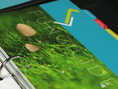 Turf Ventures Catalog