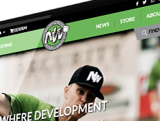 Baseball Northwest Website