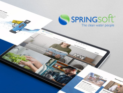 Springsoft International’s Website Transformation and Lead Generation Growth